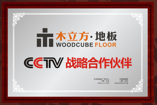 木立方聯手央視，360°打造中國十大木地板品牌