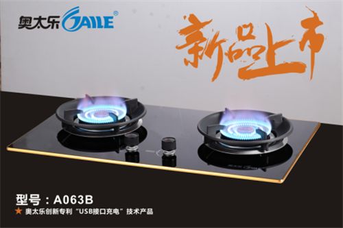 2017聚勢飛躍 奧太樂廚衛續寫央視品牌神話