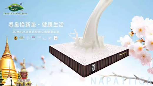 娜帕蒂卡推出Napattiga獨立筒乳膠床墊