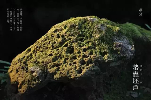 秋分至，秋意濃，四季更迭，漢唐門窗，永恒相伴!