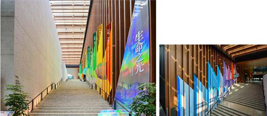 (l)ʿ&K\(chng)Ʒ 2020 