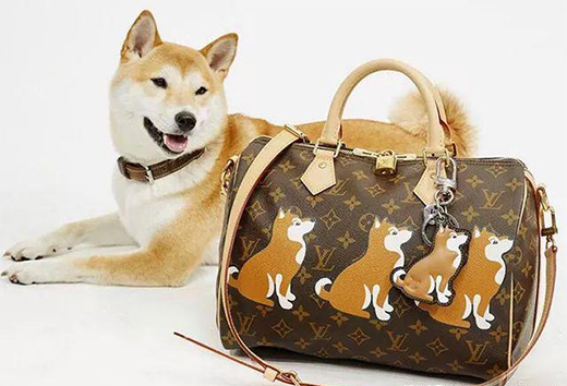 ô3|Юa(chn)˵ȫݶЈ