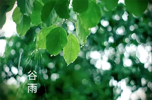 艾德樂門業 | 谷雨：時至暮春，雨生百谷