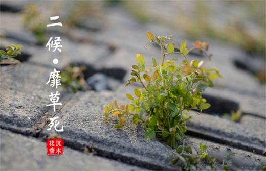 華動電器|24節氣生活，人生最喜歡的狀態：小滿即圓滿!