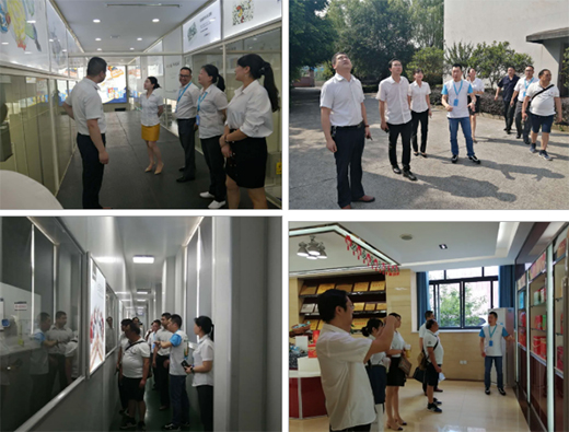 伊萊卡全鋁家居：品牌嫁接融合，跨界合作共贏