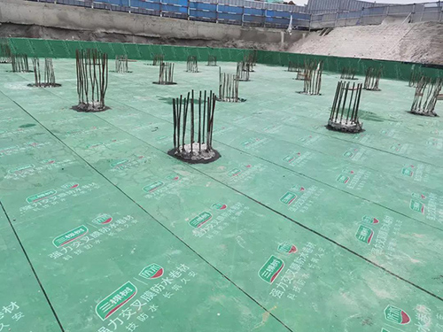 三棵樹防水助力31屆世界大學生運動會配套項目建設