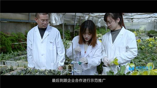 張石寶：20年初心不改 傾力保護(hù)“植物界的大熊貓”