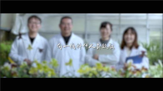 張石寶：20年初心不改 傾力保護“植物界的大熊貓”