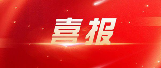 ˹l(wi)ԡi2020չ2021