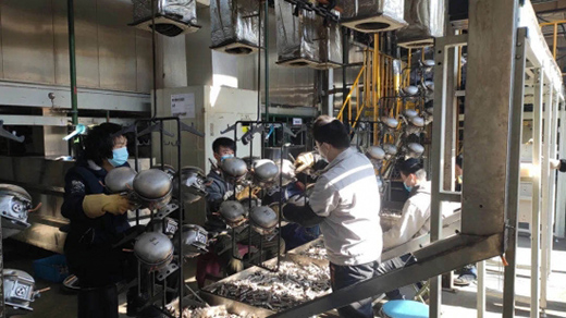 耕耘奮進新一年，萬寶等家電企業第一時間復工復產