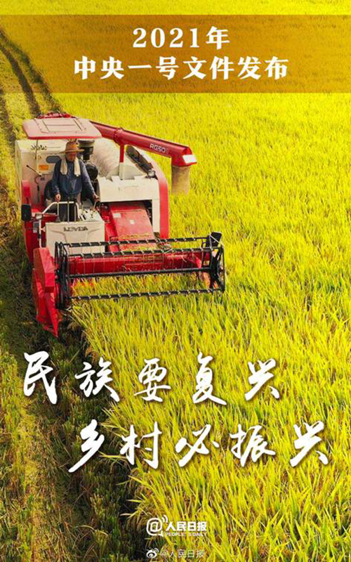 聚焦鄉村振興戰略，中國聯塑積極發揮管道巨頭作用