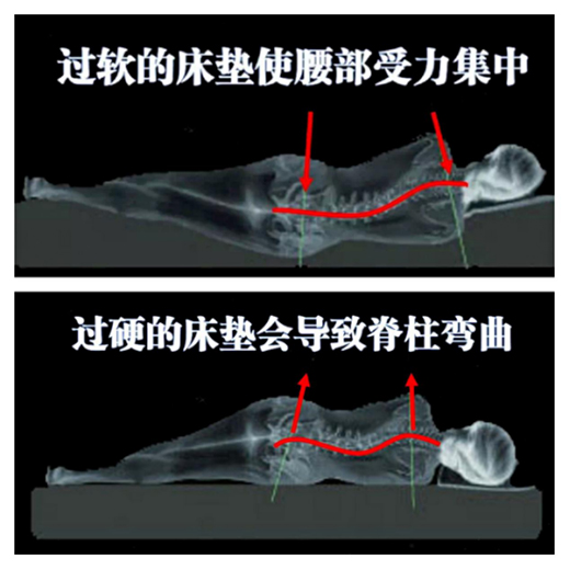 康麗萊：優質的睡眠從找到適合自己的床墊開始