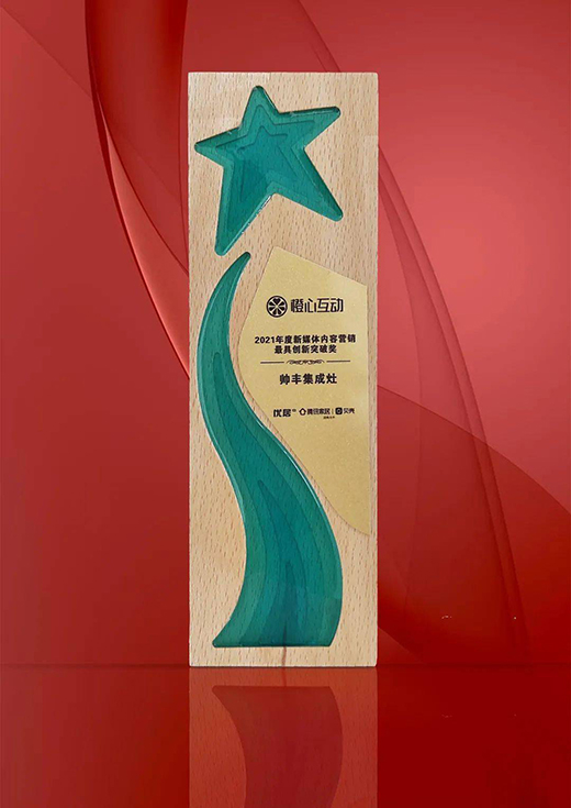 實(shí)力豐范│引領(lǐng)行業(yè)的“追光者”，帥豐載譽(yù)而歸!