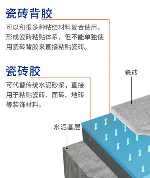 瓷磚膠&瓷磚背膠，一字之差，大有不同