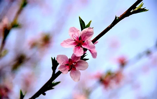 TIحէӡfCȻ